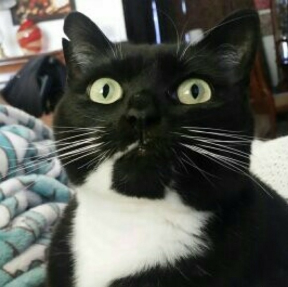 Meet your Posher, Doozer12384 ! POSH AMBASSADORπ - Picture 4 of 6